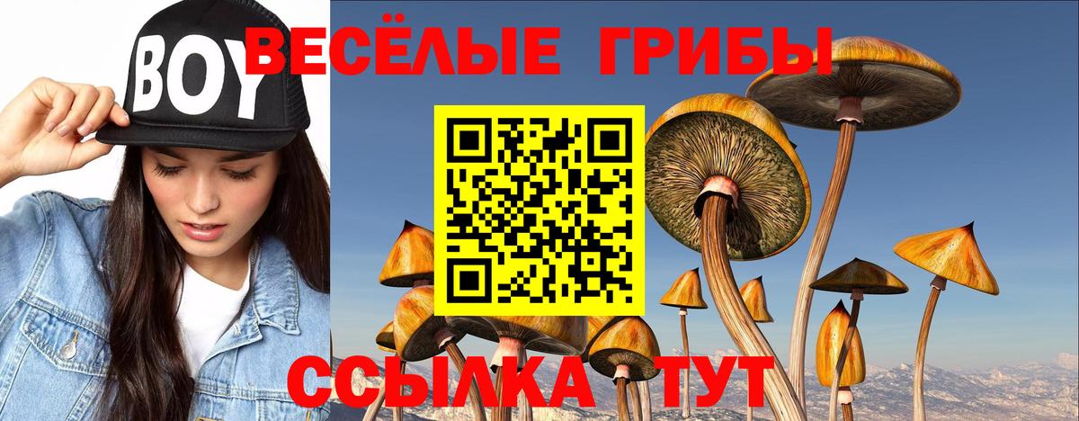 Псилоцибиновые грибы мицелий Амурск