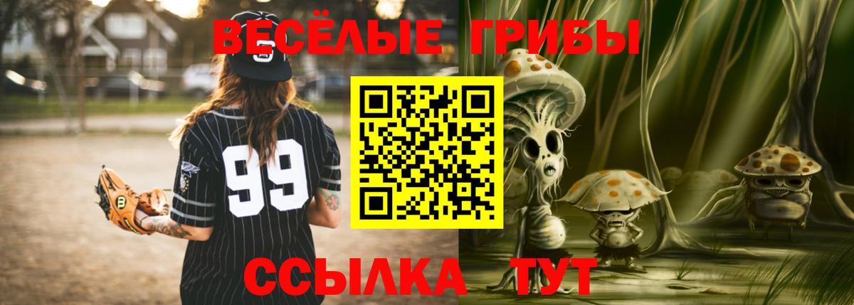 Амурск  Галлюциногенные грибы Psilocybe  Галлюциногенные грибы ЛСД  Вход с VPN 